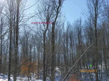 [Hearth.com] Sugar Maple and the rest of the Beech