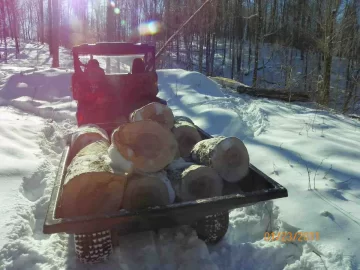 [Hearth.com] Sugar Maple and the rest of the Beech