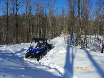 [Hearth.com] Sugar Maple and the rest of the Beech