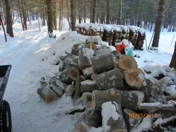 [Hearth.com] Sugar Maple and the rest of the Beech