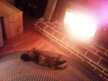 [Hearth.com] Found someone who likes pellet heat more than we do