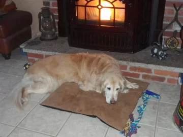 [Hearth.com] Found someone who likes pellet heat more than we do