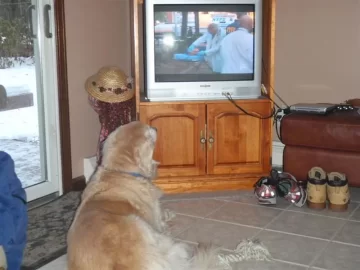 [Hearth.com] Found someone who likes pellet heat more than we do