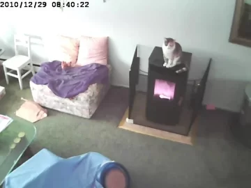 [Hearth.com] Found someone who likes pellet heat more than we do