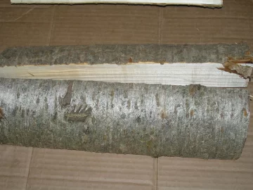 [Hearth.com] wood id plz TIA