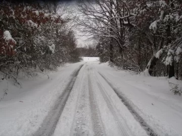 [Hearth.com] Southern snow pics taken on January 10, 2011