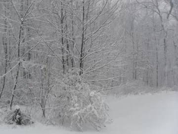 [Hearth.com] Look Out Northeast Here It Comes Again