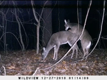 [Hearth.com] Anyone Have Experience with a Game Camera?