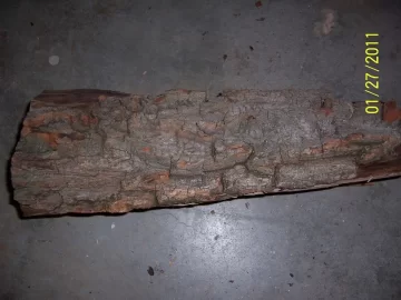 [Hearth.com] Wood ID please