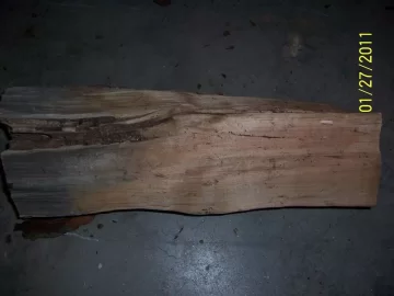 [Hearth.com] Wood ID please