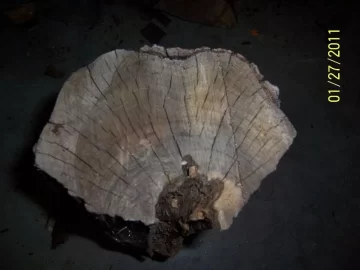 [Hearth.com] Wood ID please