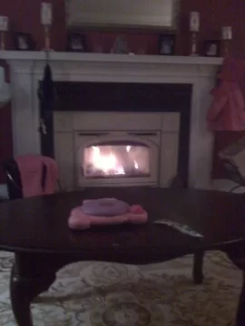 [Hearth.com] love the look of the stove after a good snow..............