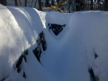 [Hearth.com] Look Out Northeast Here It Comes Again