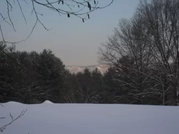 [Hearth.com] Cold Snowy Pics