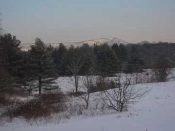 [Hearth.com] Cold Snowy Pics