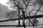 [Hearth.com] Cold Snowy Pics
