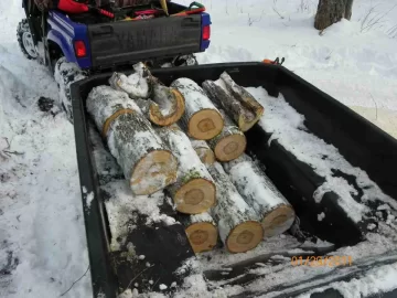 [Hearth.com] 2nd Damaged Sugar Maple