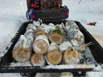 [Hearth.com] 2nd Damaged Sugar Maple