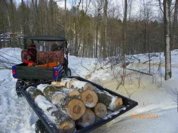 [Hearth.com] 3rd Damaged Sugar Maple