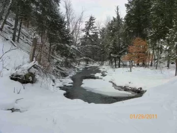 [Hearth.com] The Brook in the Winter