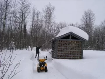 [Hearth.com] New, free attic insulation !