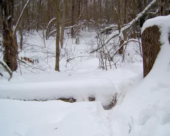 [Hearth.com] Snowed out