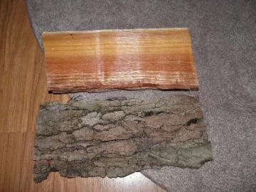[Hearth.com] Wood ID