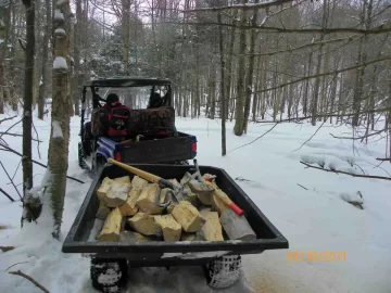 [Hearth.com] Dead Standing Load 2