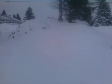 [Hearth.com] Snowed out