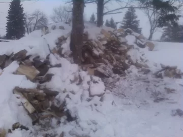 [Hearth.com] Snowed out