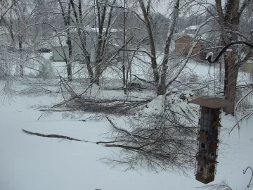 [Hearth.com] Severe Weather Alert - What is your backup?