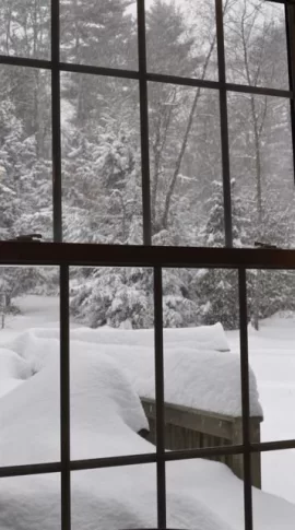 [Hearth.com] Snow pics and video