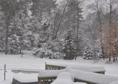 [Hearth.com] Snow pics and video