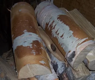 [Hearth.com] How 2 dry Birch? 16 Mo still looks wet, Pics