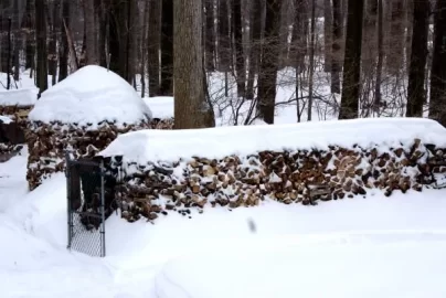 [Hearth.com] who needs a wood shed?
