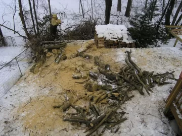 [Hearth.com] Mulberry Massacre