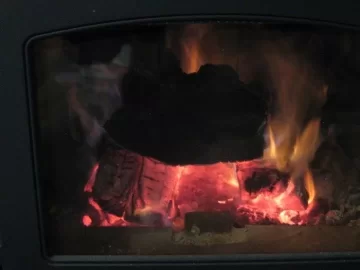 [Hearth.com] The evils of black locust -- part 2, with pic