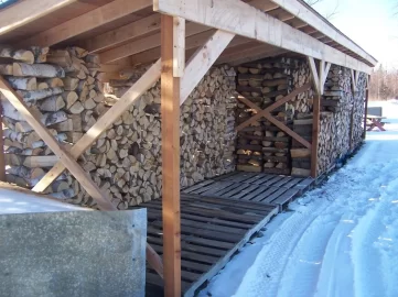 [Hearth.com] How 2 dry Birch? 16 Mo still looks wet, Pics