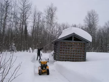 [Hearth.com] I now know why you guys need wood sheds