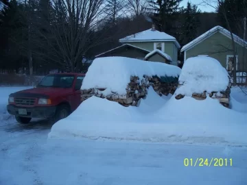 [Hearth.com] Don't  worry, the cordwood is covered.