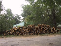 Pic of my log pile