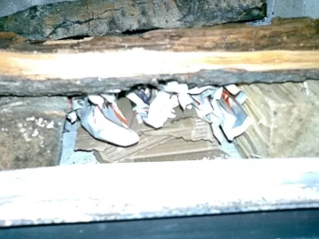 [Hearth.com] Yet another stove-lighting thread...