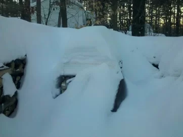 [Hearth.com] Don't  worry, the cordwood is covered.