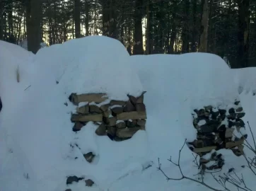 [Hearth.com] Don't  worry, the cordwood is covered.