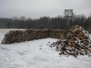 [Hearth.com] Indiana Ice pictures (Wildlife too)