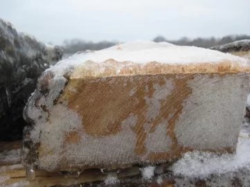 [Hearth.com] Indiana Ice pictures (Wildlife too)