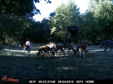 [Hearth.com] Anyone Have Experience with a Game Camera?