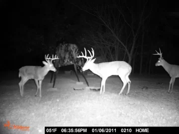 [Hearth.com] Anyone Have Experience with a Game Camera?