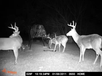 [Hearth.com] Anyone Have Experience with a Game Camera?