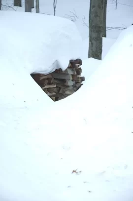 [Hearth.com] Proof that my wood does not season in the winter......